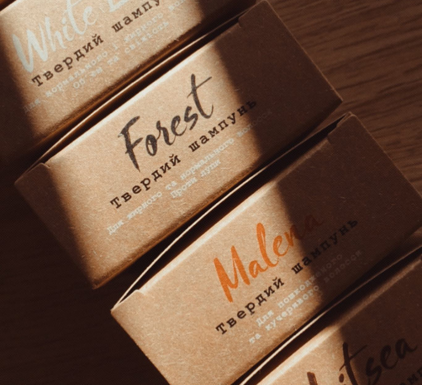 forest 3