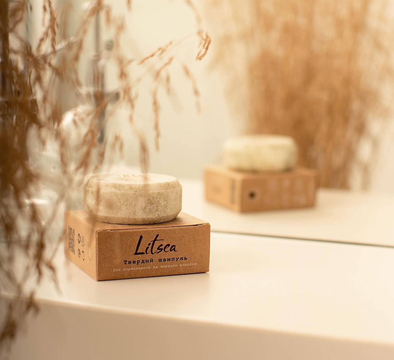 litsea 3